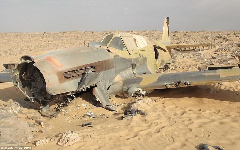 Crashed Airplane in Desert — Brown