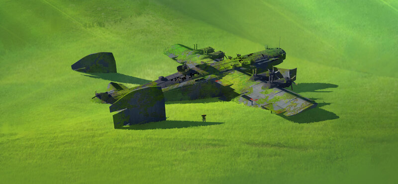 Crashed Airplane in Field