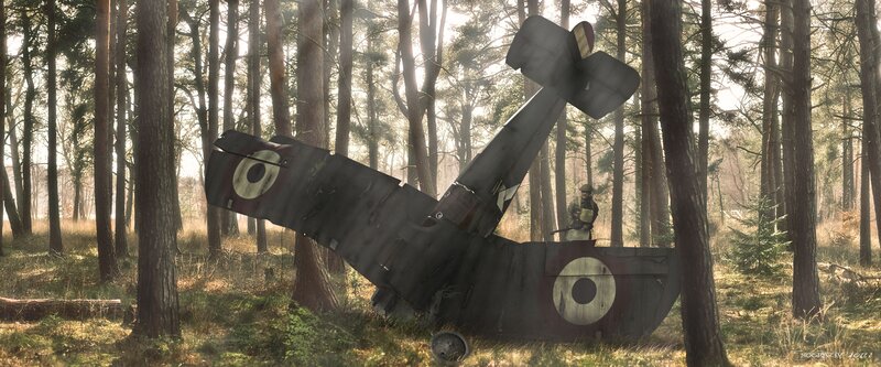 Crashed Biplane in Forest — Green