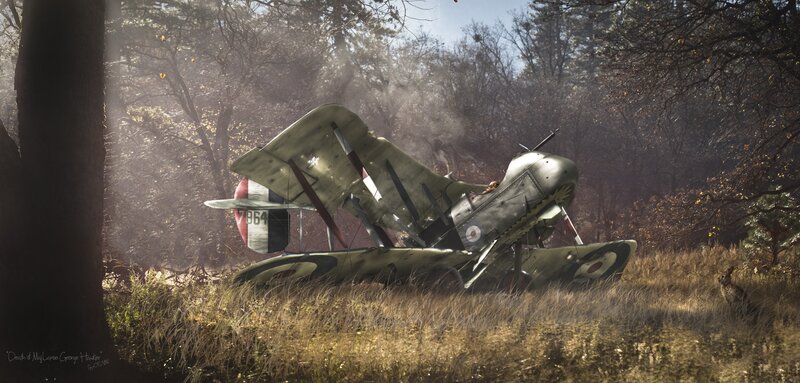 Crashed biplane in forest