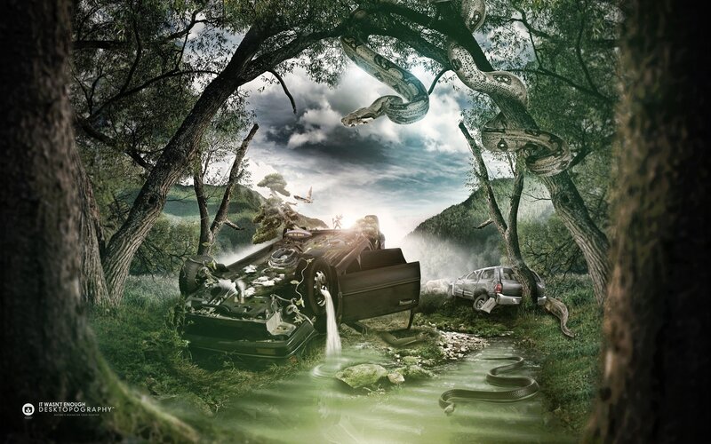 Crashed Cars in Forest