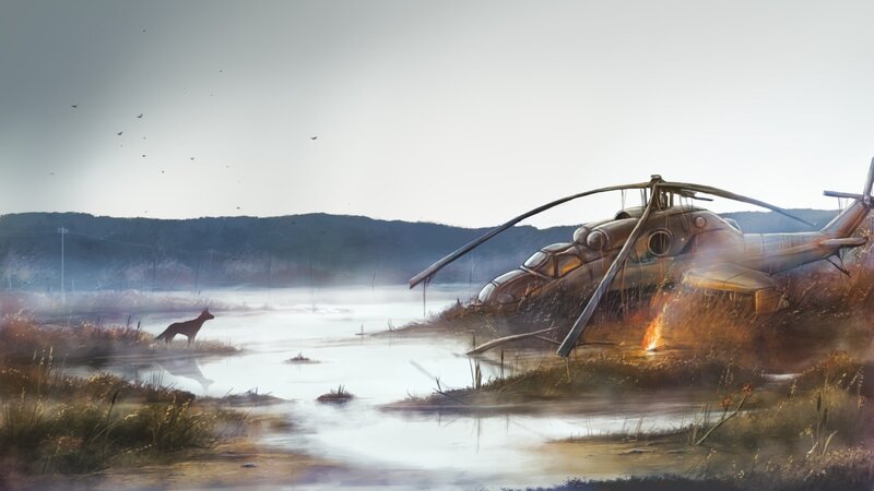 Crashed Helicopter in Marsh