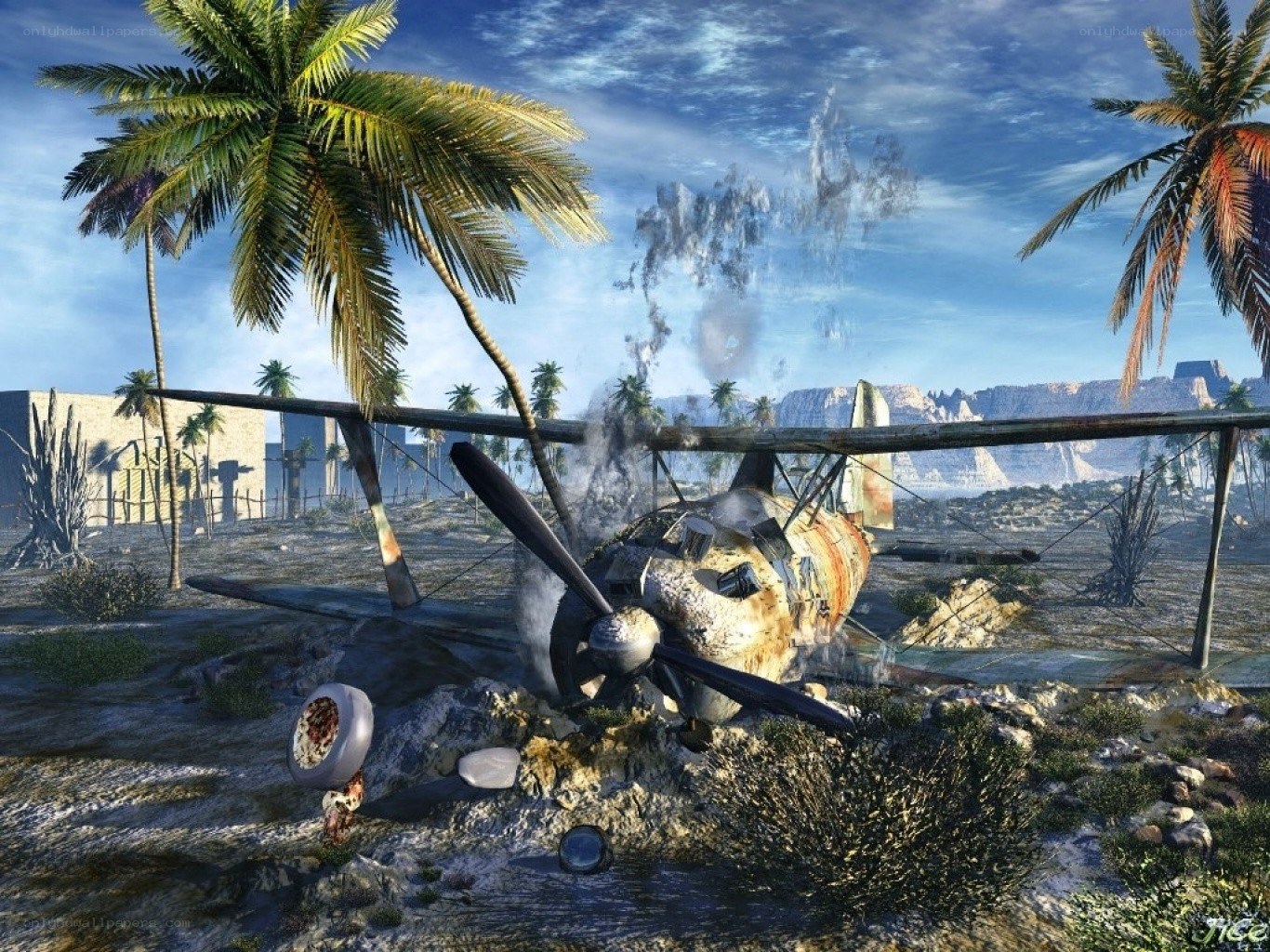 Crashed plane on tropical island