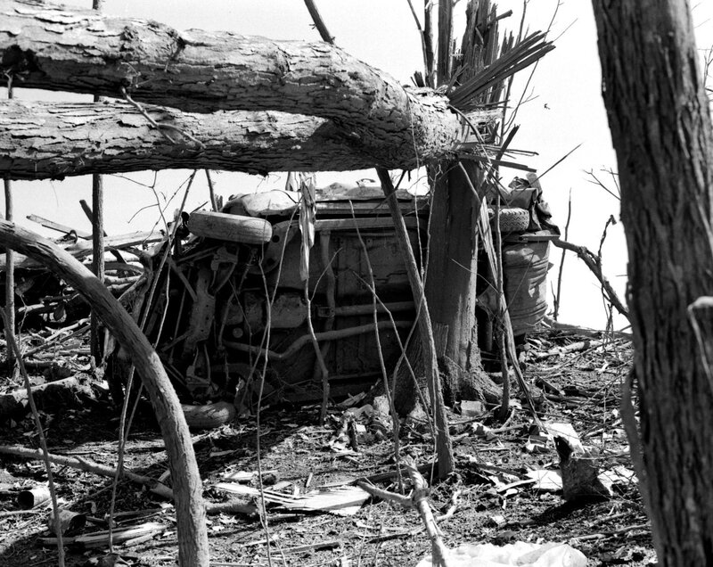 Crashed vehicle under fallen tree