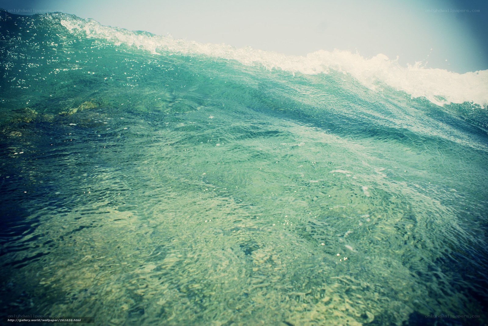 crashing ocean wave