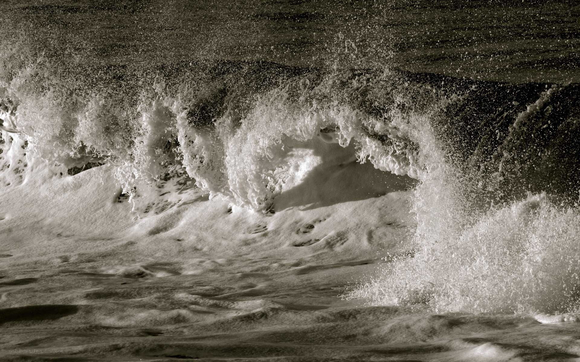 crashing wave in sepia