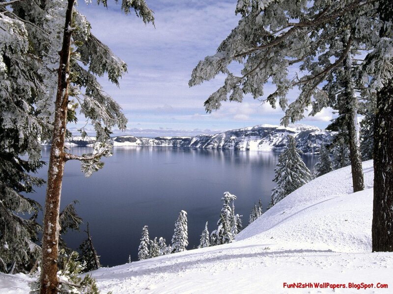 Crater Lake in Winter — Blue, Snow-covered Trees