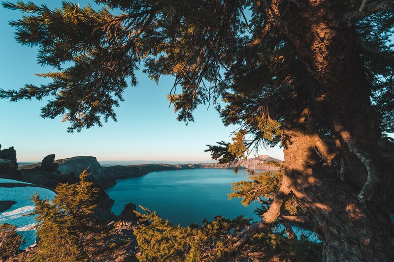 Crater Lake Through Tree Branches