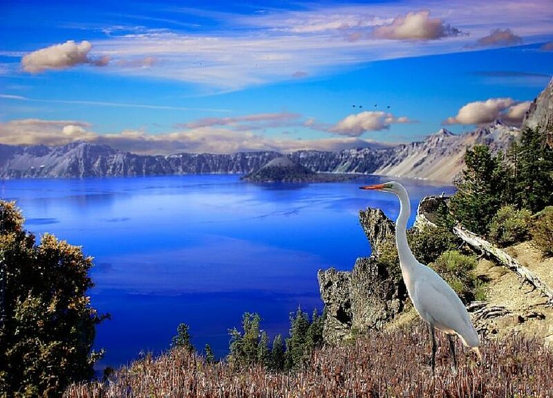 Crater Lake with a heron