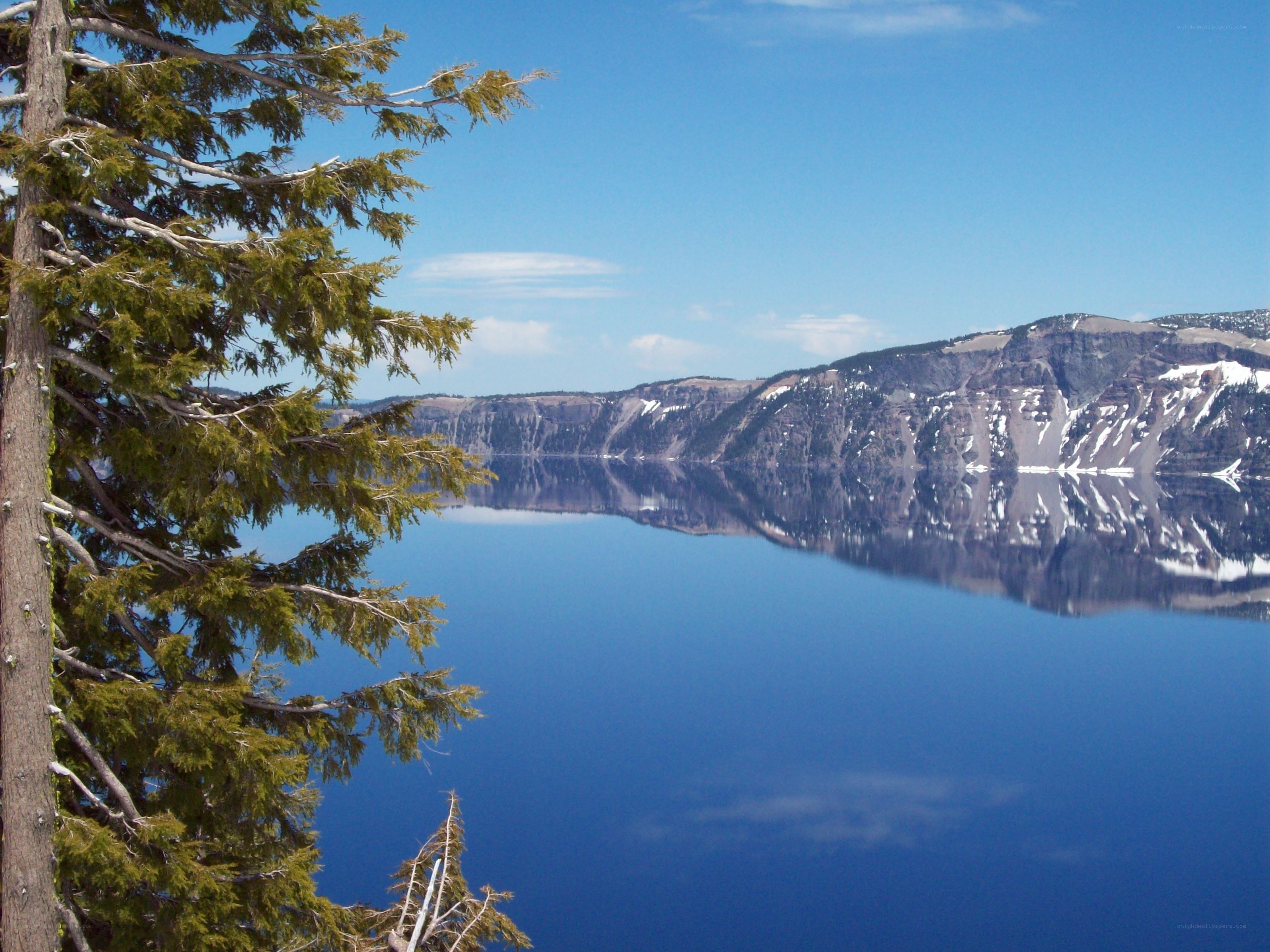 Crater Lake with tree in foreground