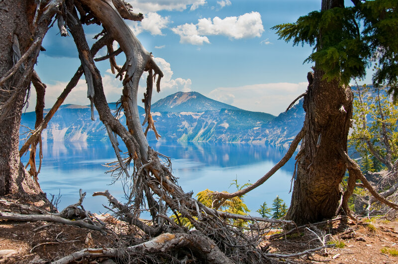 Crater Lake with tree roots