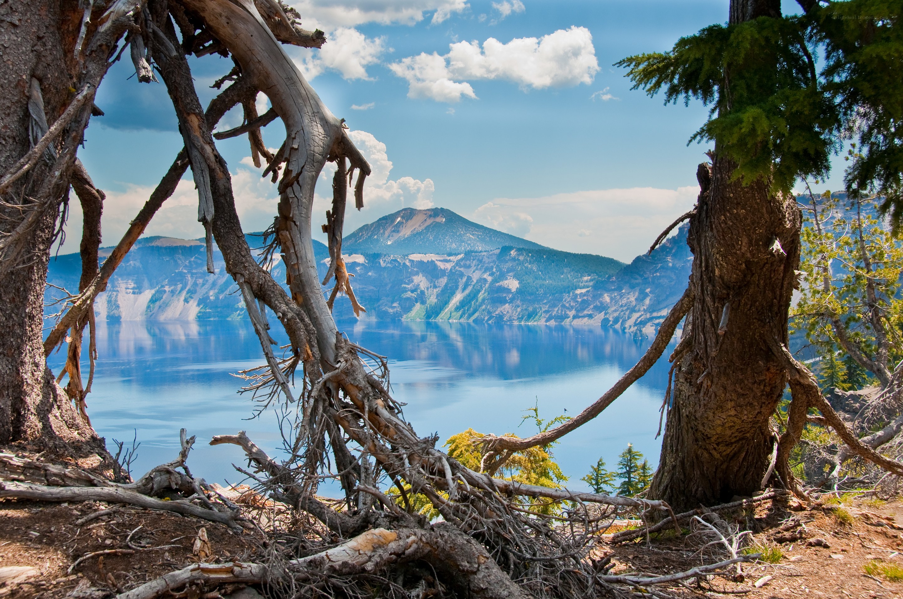 Crater Lake with tree roots