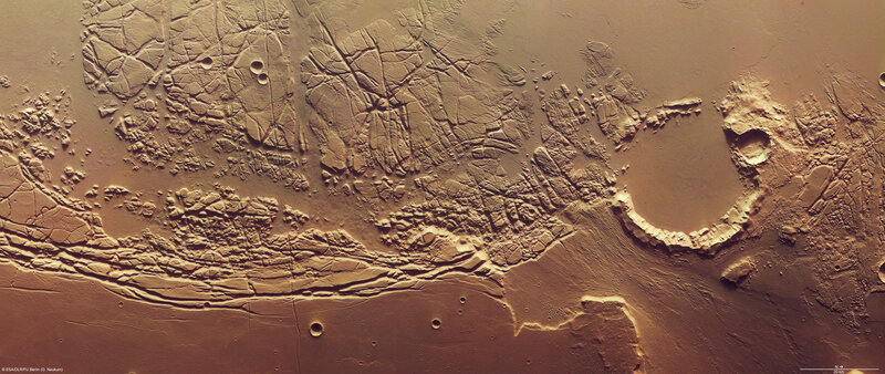 Cratered Planetary Surface — Brown