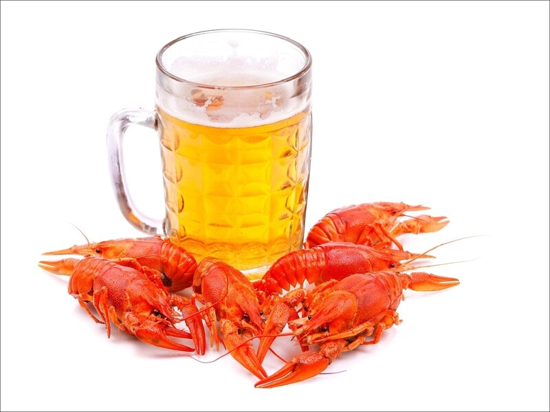 Crayfish and beer mug
