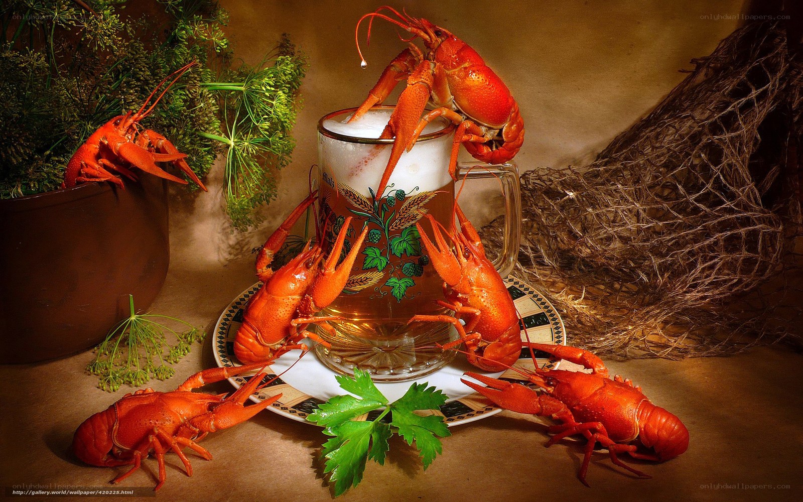 Crayfish and beer still life