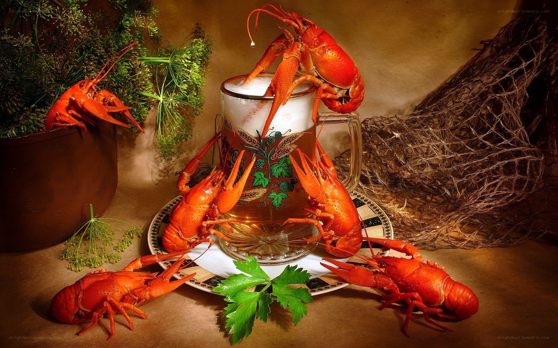 Crayfish and beer still life