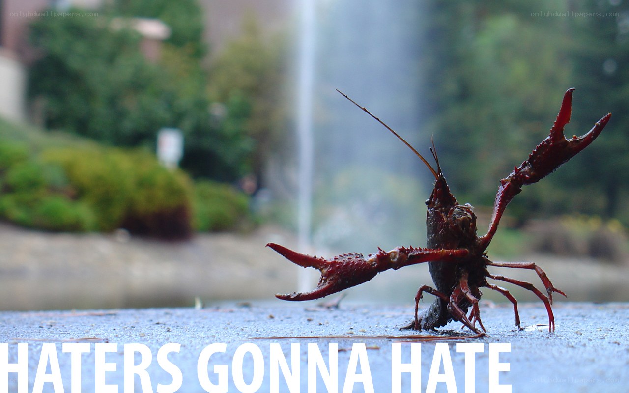 Crayfish on a sidewalk