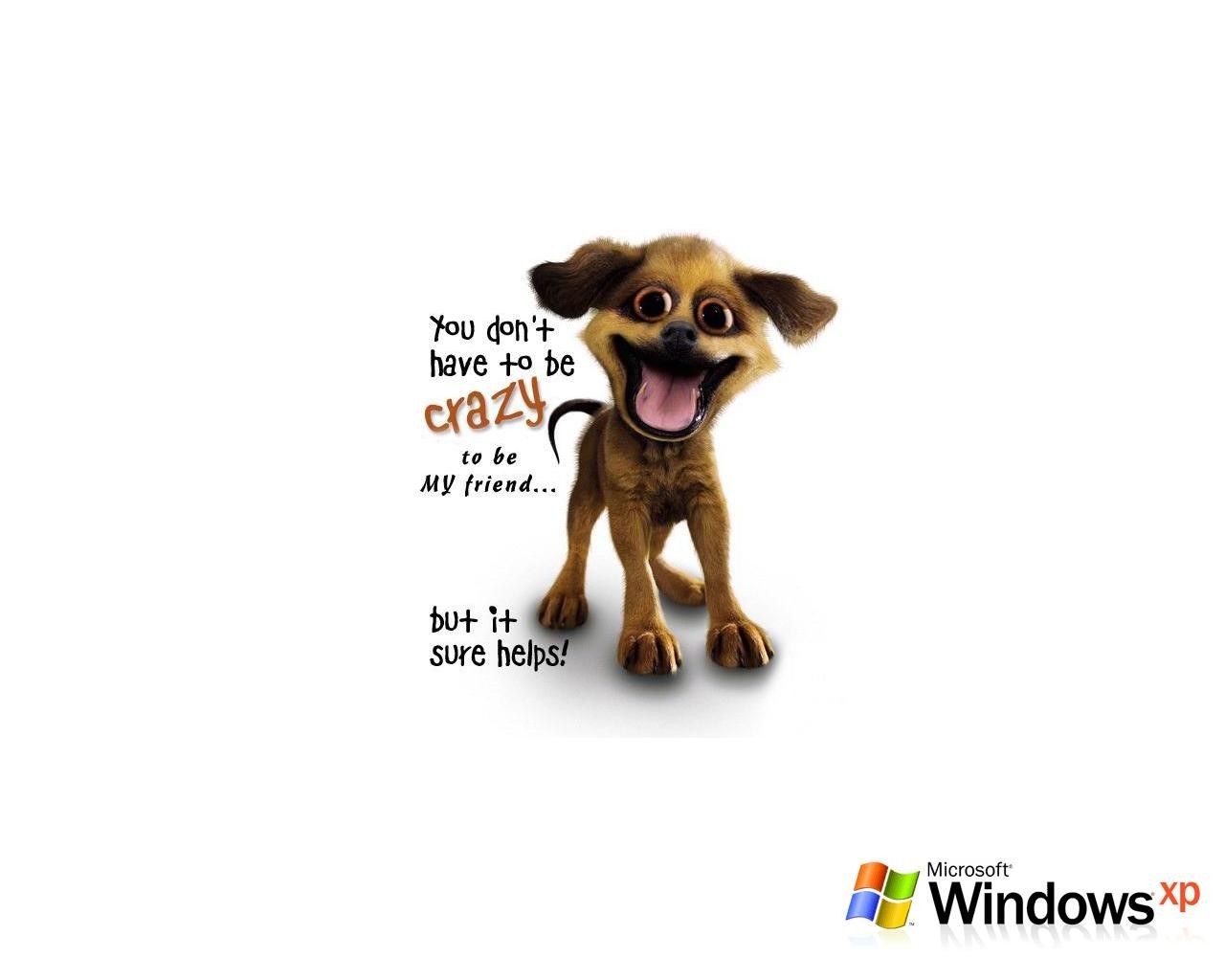 crazy dog friend wallpaper