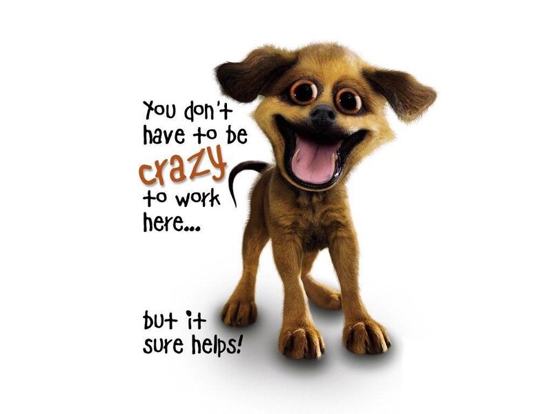 crazy dog work meme