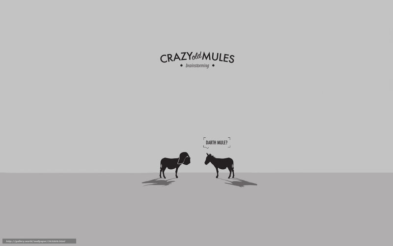 Crazy Old Mules Brainstorming