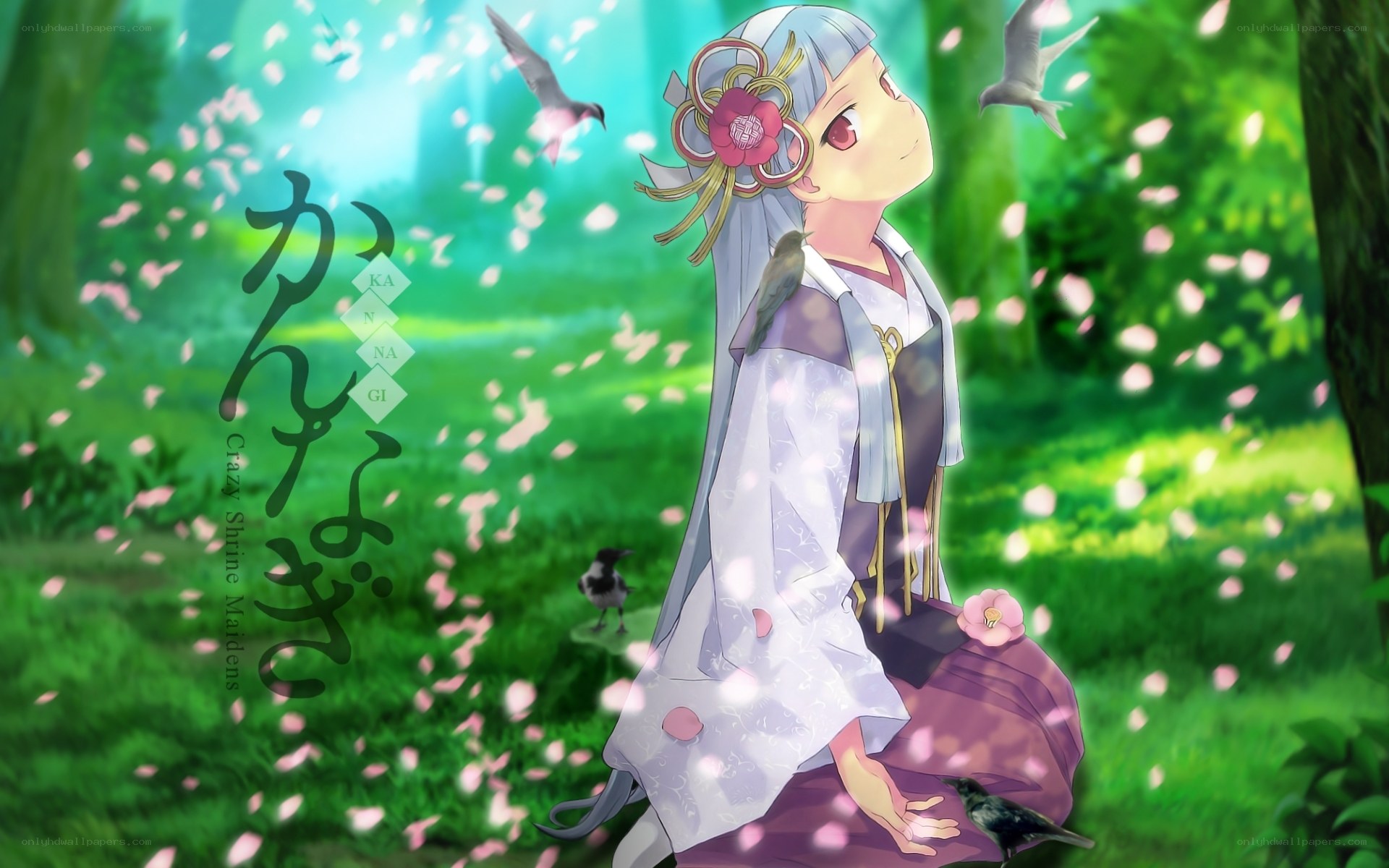 Crazy Shrine Maidens artwork