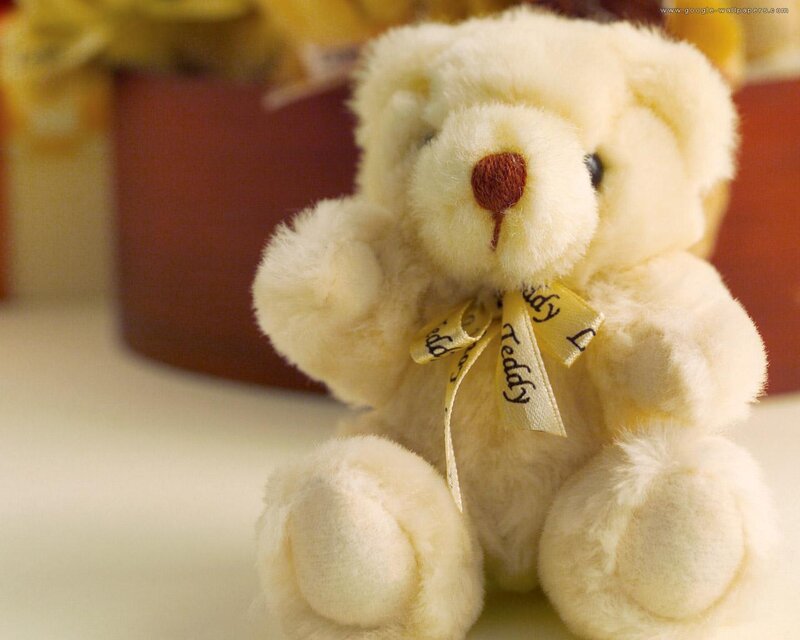 Cream-colored Teddy Bear