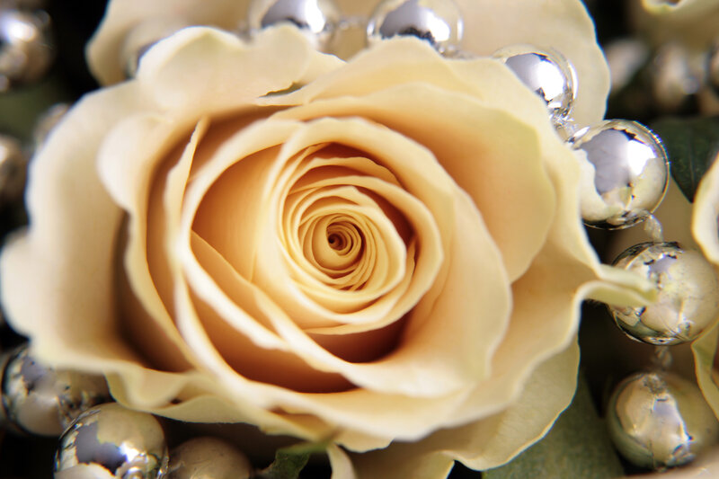 Cream Rose with Beads