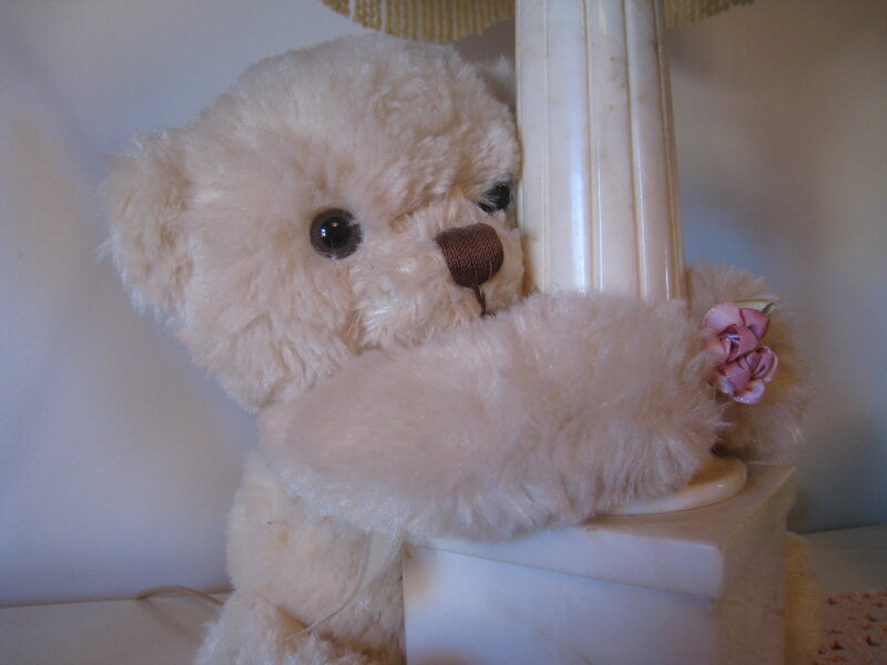 Cream Teddy Bear