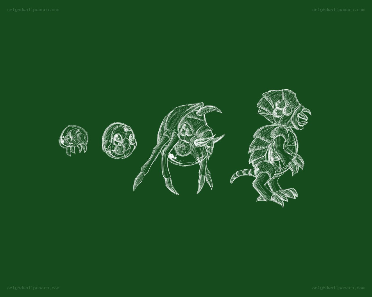creature evolution sketch