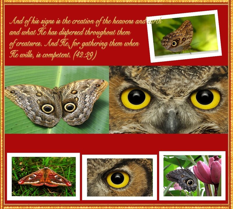 Creatures of the Heavens and Earth