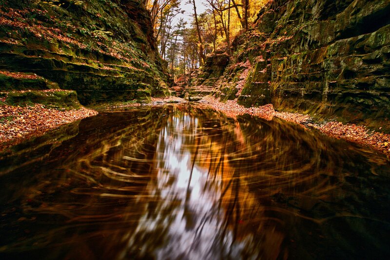 Creek in Autumn Canyon