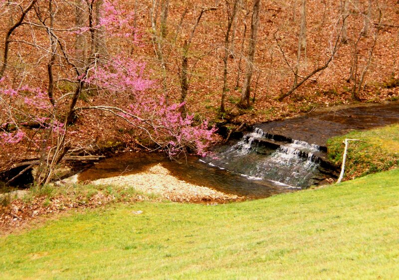 Creek with Small Waterfall