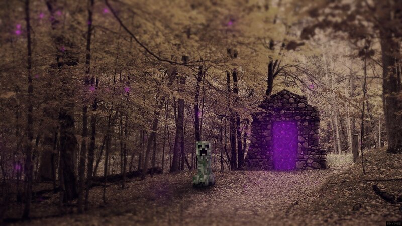 Creeper in Forest