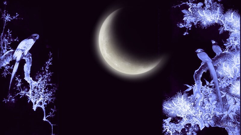 Crescent Moon and Birds