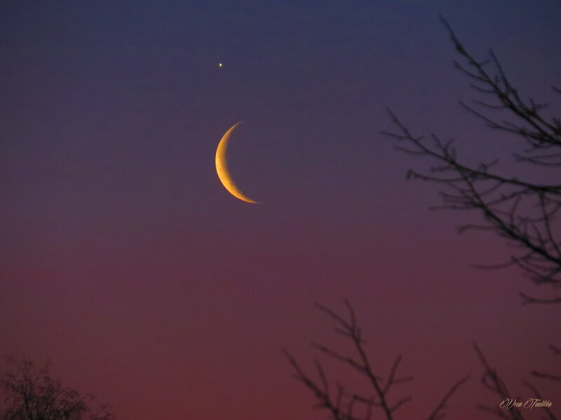 Crescent Moon and Planet — Purple