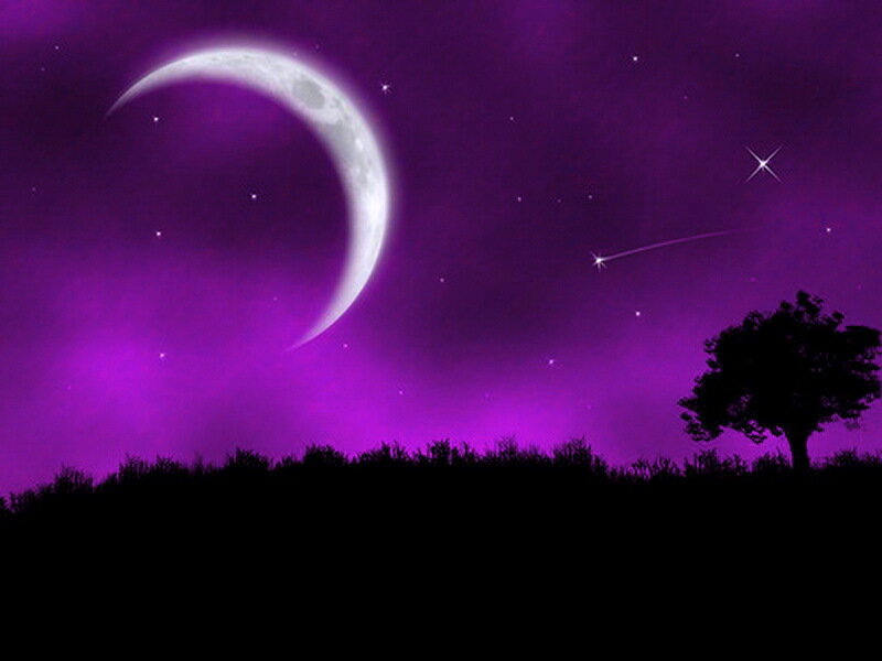 Crescent Moon and Tree