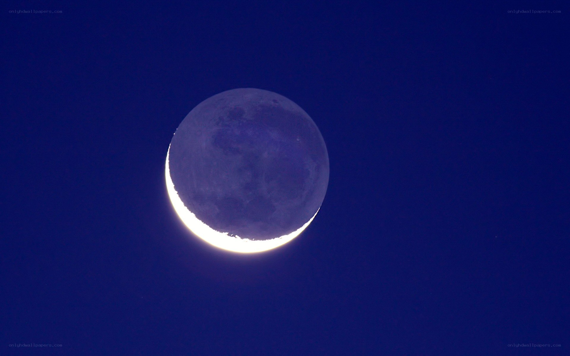 Crescent moon in night sky