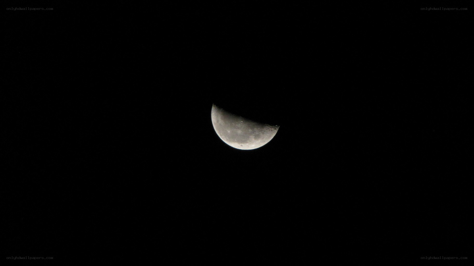 crescent moon in night sky