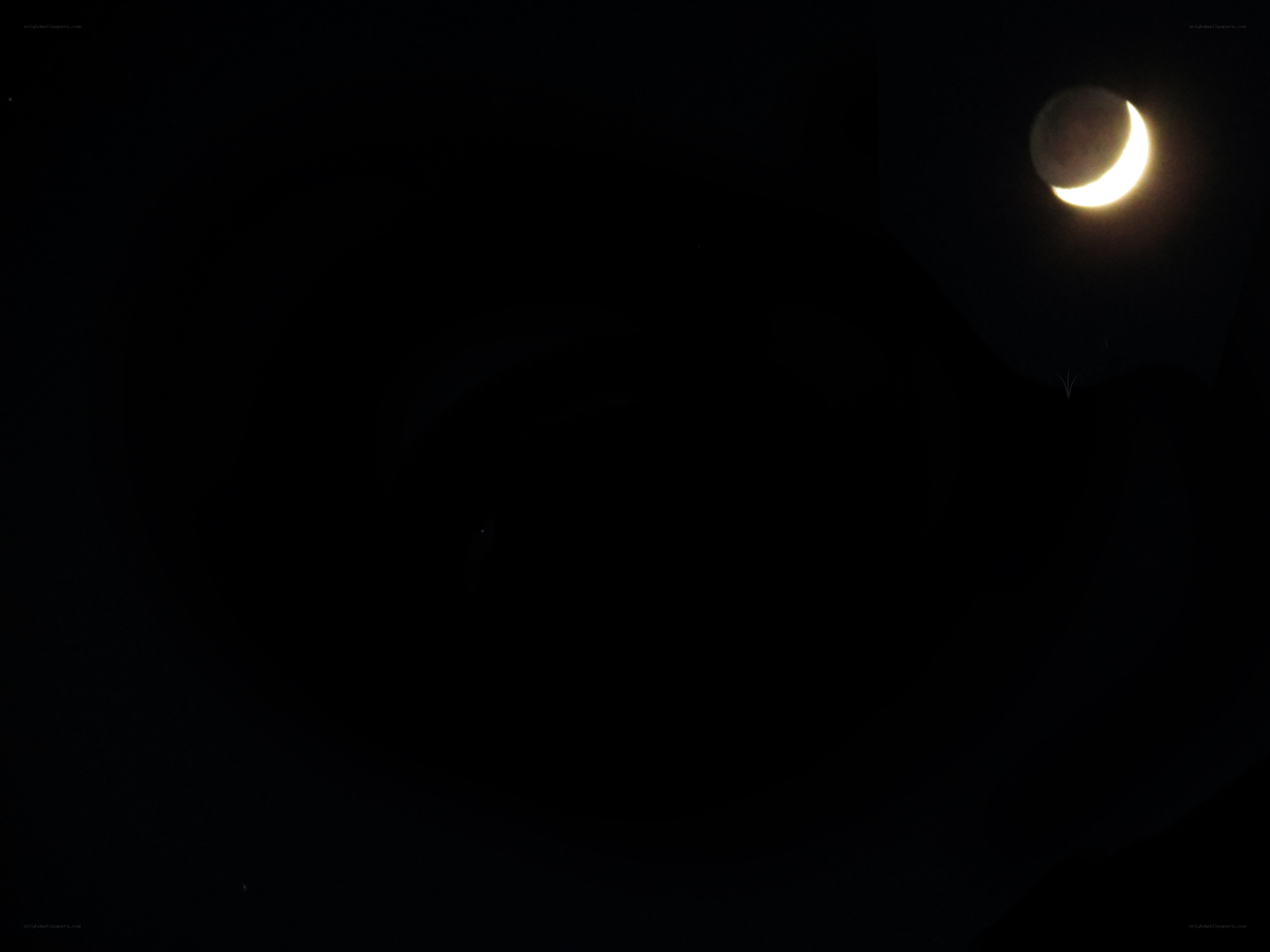 crescent moon in night sky