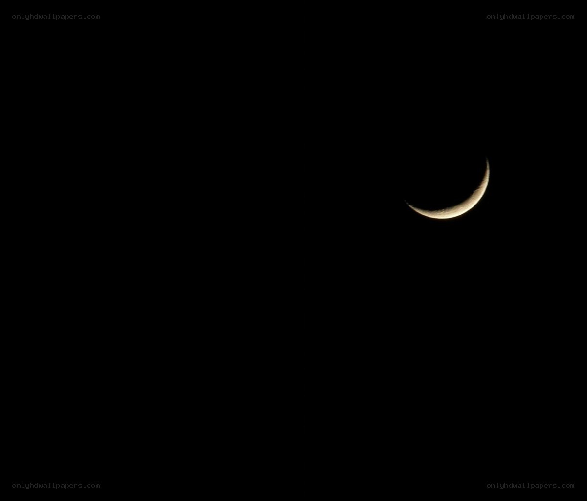 Crescent moon in night sky