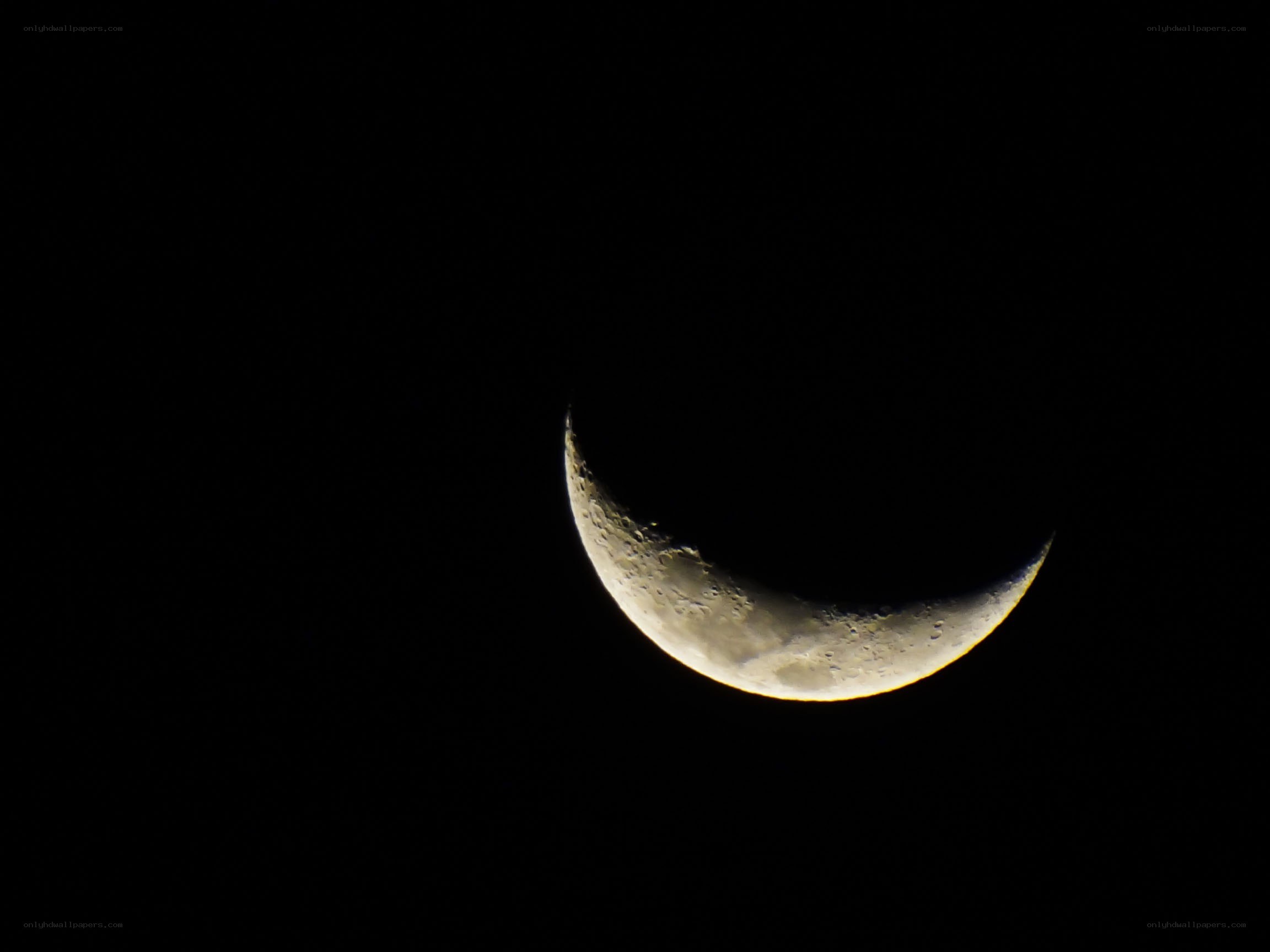 Crescent moon in night sky