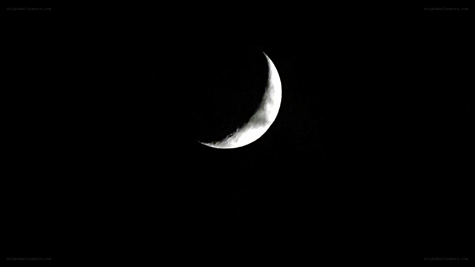 Crescent moon in night sky
