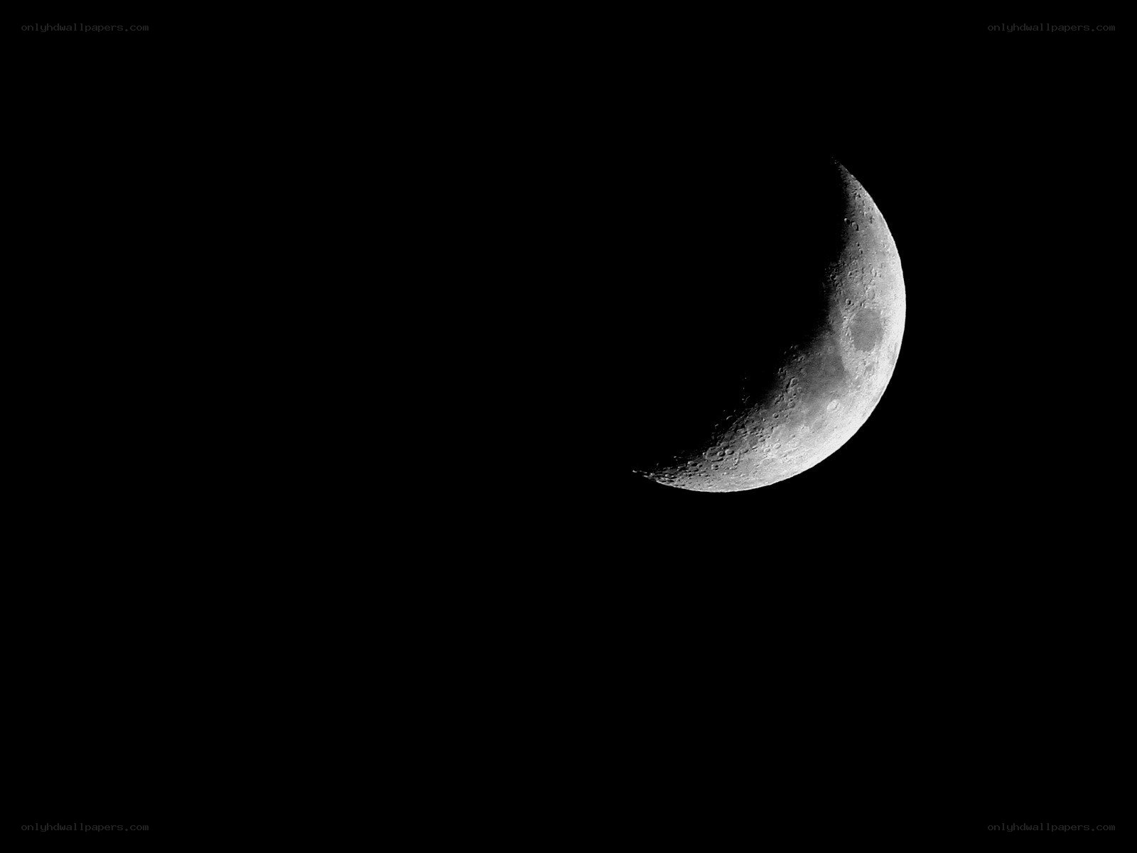 Crescent moon in night sky