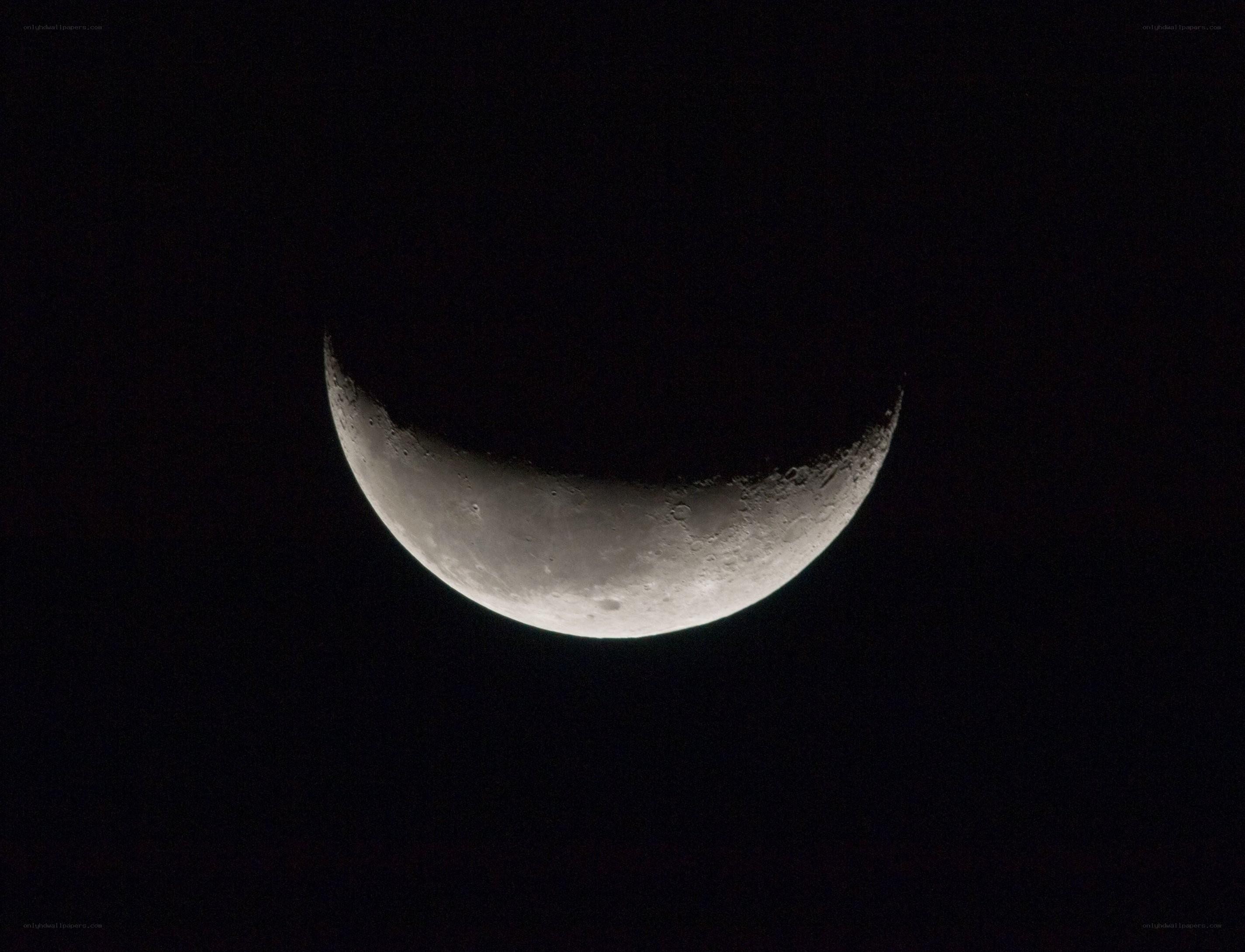 Crescent moon in night sky