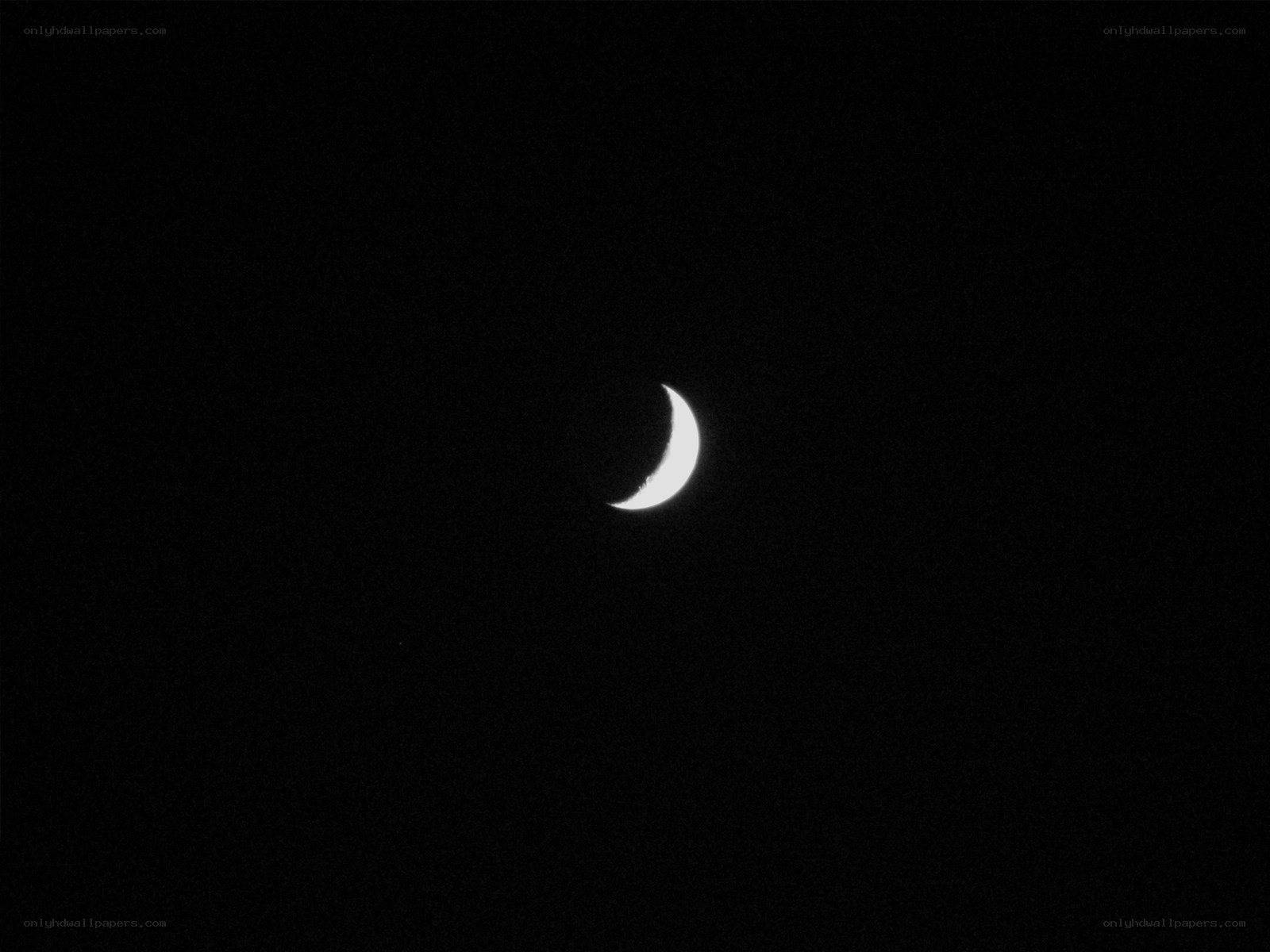 Crescent moon in night sky