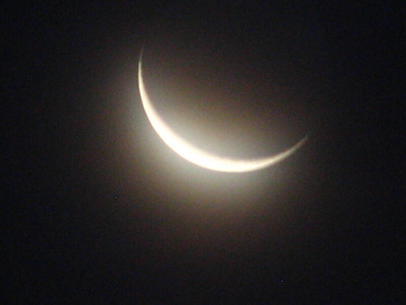 Crescent moon in night sky