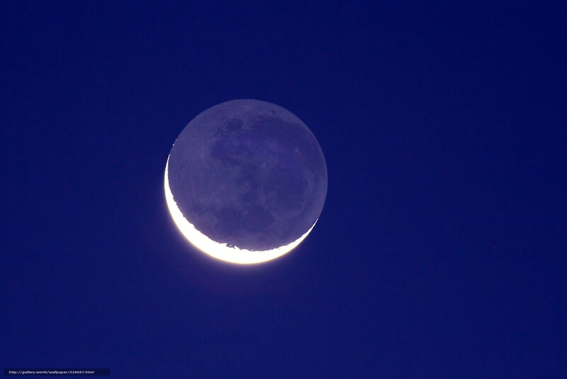 Crescent moon in night sky