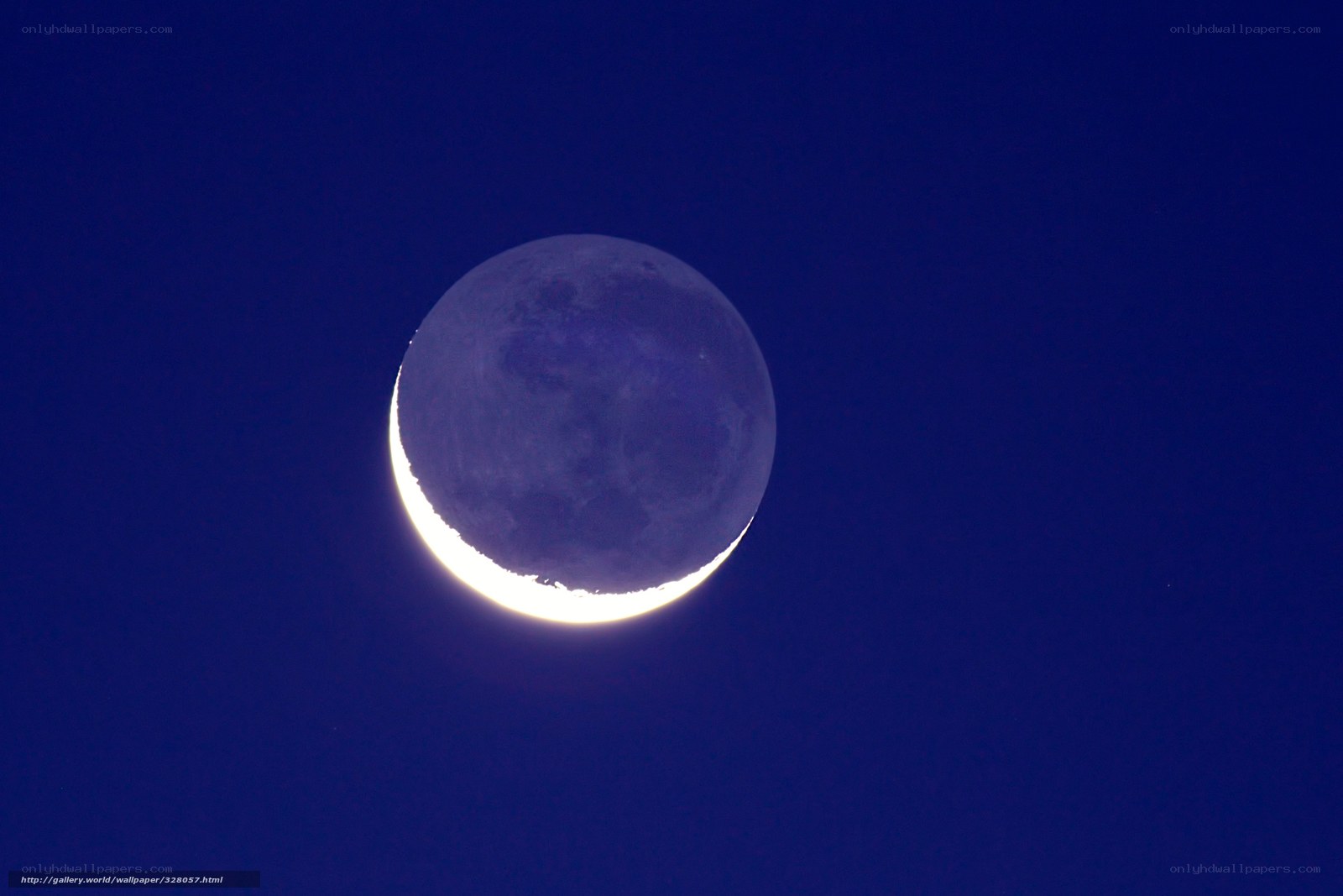 Crescent moon in night sky