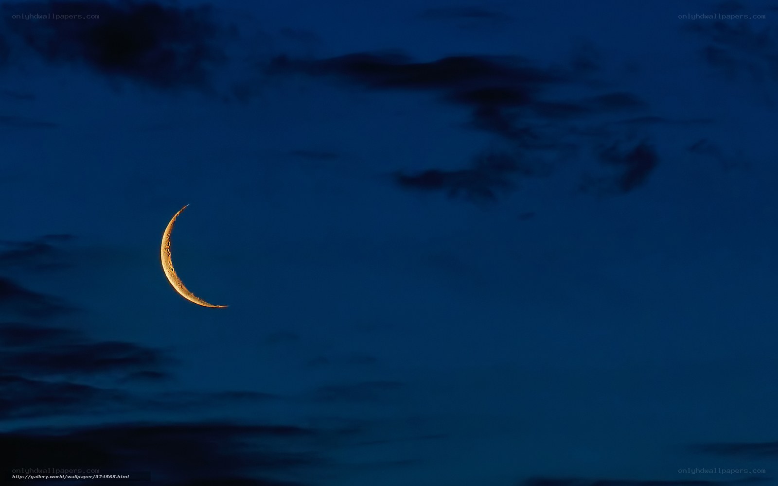 Crescent moon in night sky