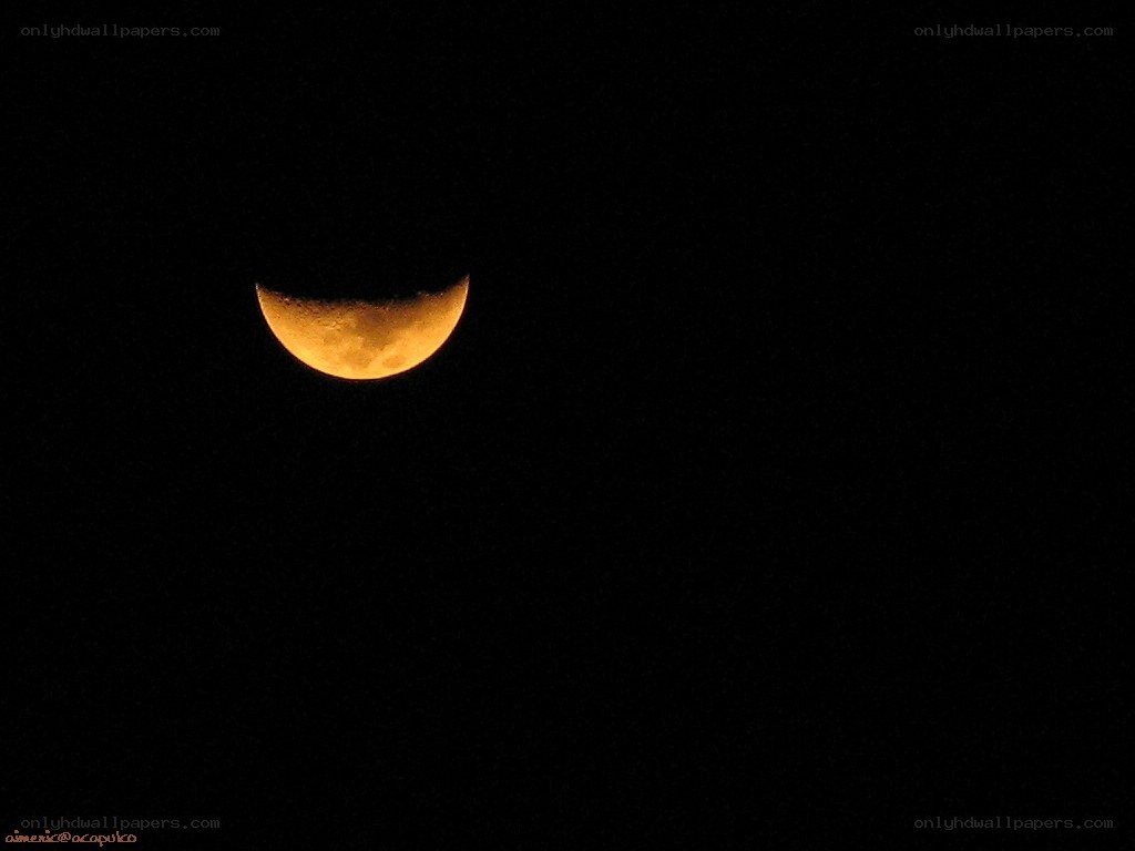 Crescent moon in night sky